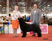 Превью фото № 131882