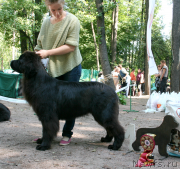 Превью фото № 131890