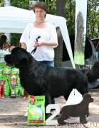 Превью фото № 131917