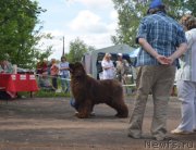 Превью фото № 131925