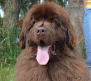 Превью фото № 131928