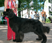 Превью фото № 131932