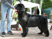 Превью фото № 131947