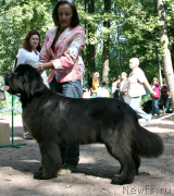 Превью фото № 131952