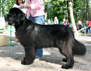 Превью фото № 131953