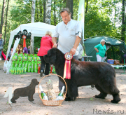 Превью фото № 131970