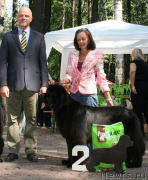 Превью фото № 131971