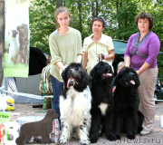 Превью фото № 131973