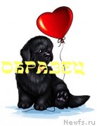 Превью фото № 131982