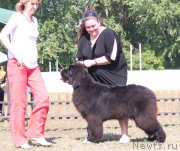 Превью фото № 132004