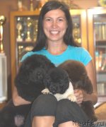 Превью фото № 132025