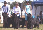 Превью фото № 132032