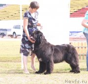 Превью фото № 132042