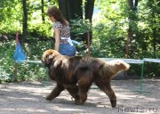 Превью фото № 132044