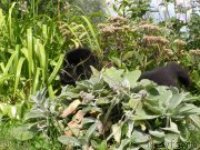 Превью фото № 132077