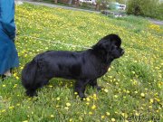 Превью фото № 132078