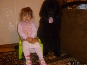 Превью фото № 132131