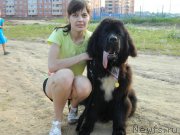 Превью фото № 132172