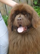 Превью фото № 132187