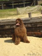 Превью фото № 132188