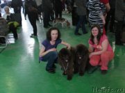 Превью фото № 132193