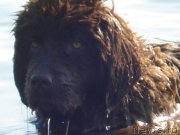 Превью фото № 132194