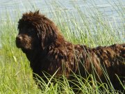 Превью фото № 132195