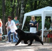 Превью фото № 132232