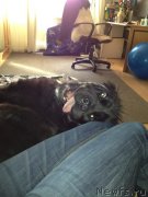 Превью фото № 132260