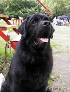 Превью фото № 132290