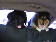 Превью фото № 132292