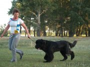 Превью фото № 132297