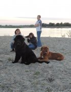 Превью фото № 132307