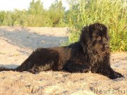 Превью фото № 132311