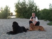 Превью фото № 132313