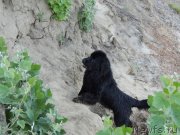 Превью фото № 132323