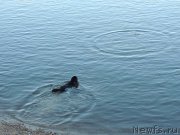 Превью фото № 132324