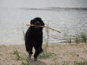 Превью фото № 132331