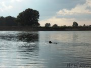 Превью фото № 132332