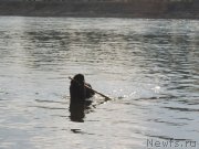 Превью фото № 132333