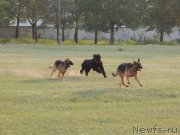 Превью фото № 132341