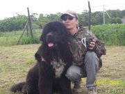 Превью фото № 132346