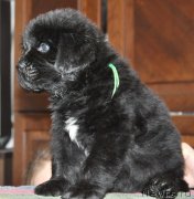 Превью фото № 132355