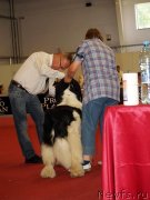 Превью фото № 132356