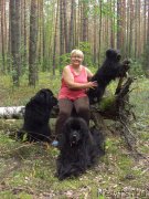 Превью фото № 132486