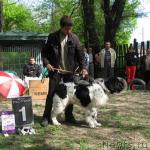 Превью фото № 13250