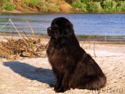 Превью фото № 132525