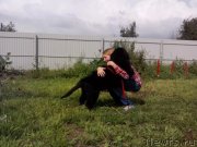 Превью фото № 132527