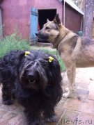 Превью фото № 132610