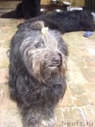 Превью фото № 132611